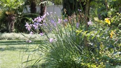 Progettazione giardini Pisa