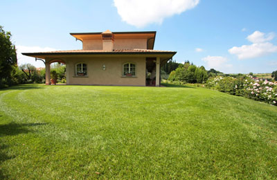 Semina di prato